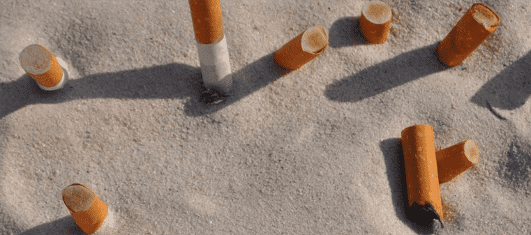 Где введен запрет на курение в автомобилях в Европе