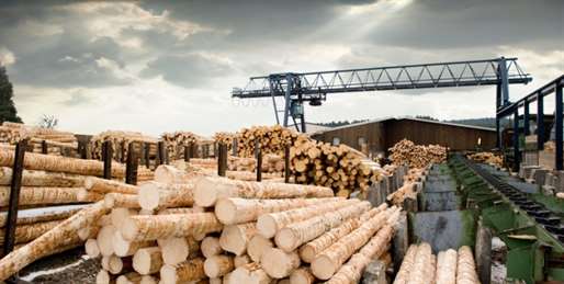 Рослесинфорг предложил перенести заводы по переработке леса на восток РФ