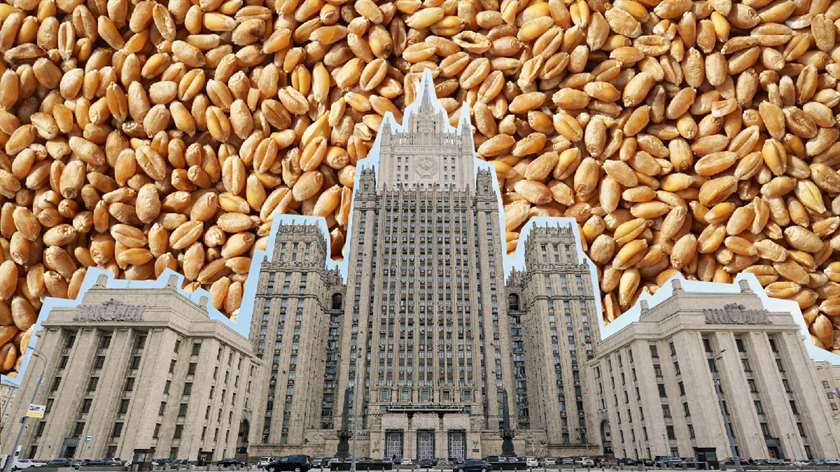 В МИД заявили о росте поставок российского зерна на Ближний Восток