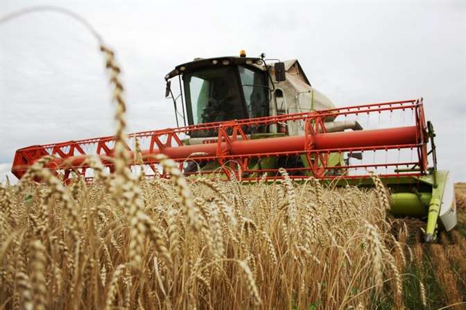 В Ростовской области собрали рекордный урожай ранних зерновых