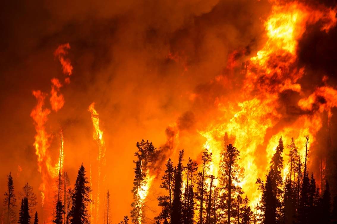 В Рязанской области лесные пожары локализованы
