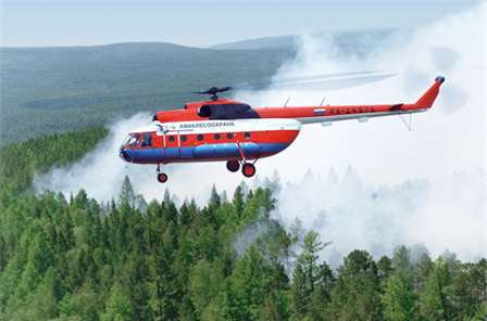 В Псковской области возобновили авиапатрулирование лесов