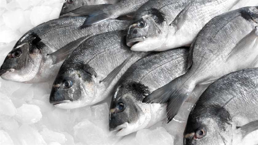 В Приморье производство рыбного филе выросло вдвое