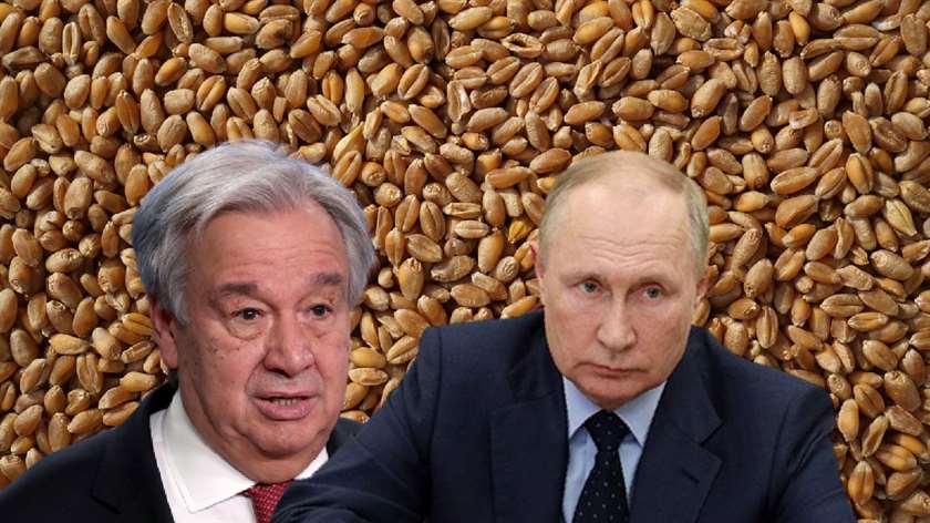 Путин и Генсек ООН обсудили «зерновую сделку»