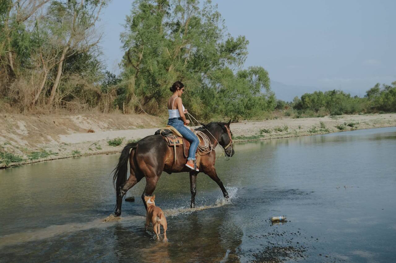 Фотосессия с лошадьми: идеи и советы