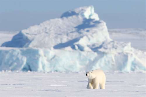 МЧС России проведет масштабную арктическую экспедицию