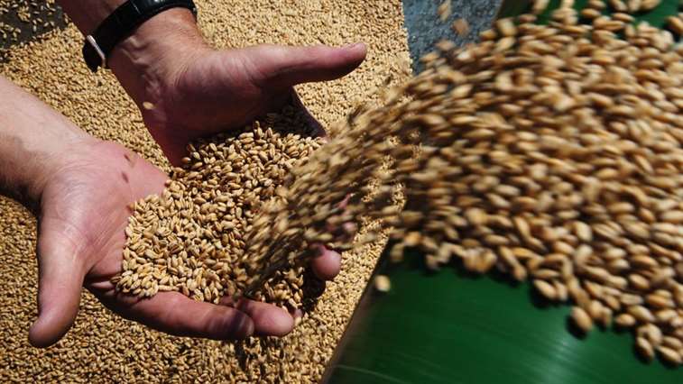 Астраханская область экспортирует первую партию зерна в Иран