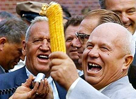 Волгоградская область получит миллиард на кукурузный завод