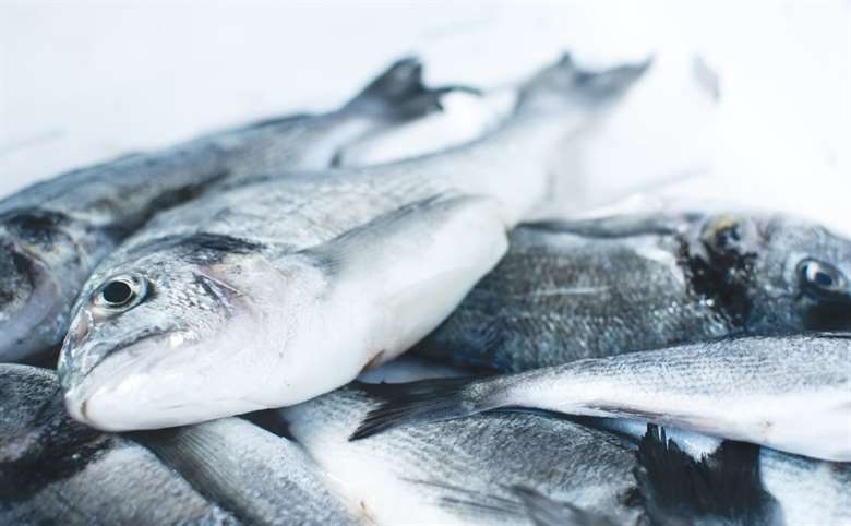 Россельхознадзор ужесточает контроль за рыбой из Японии