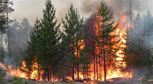 Лесные пожары в Якутии: дым затрудняет авиасообщение, атмосфера загрязнена химическими веществами