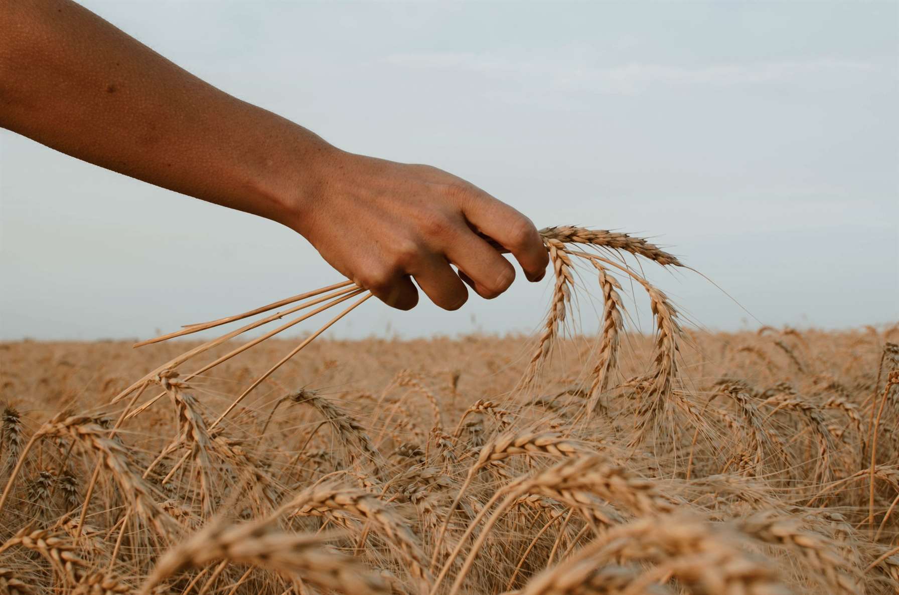 ООН ищет решение для расчетов по зерновой сделке