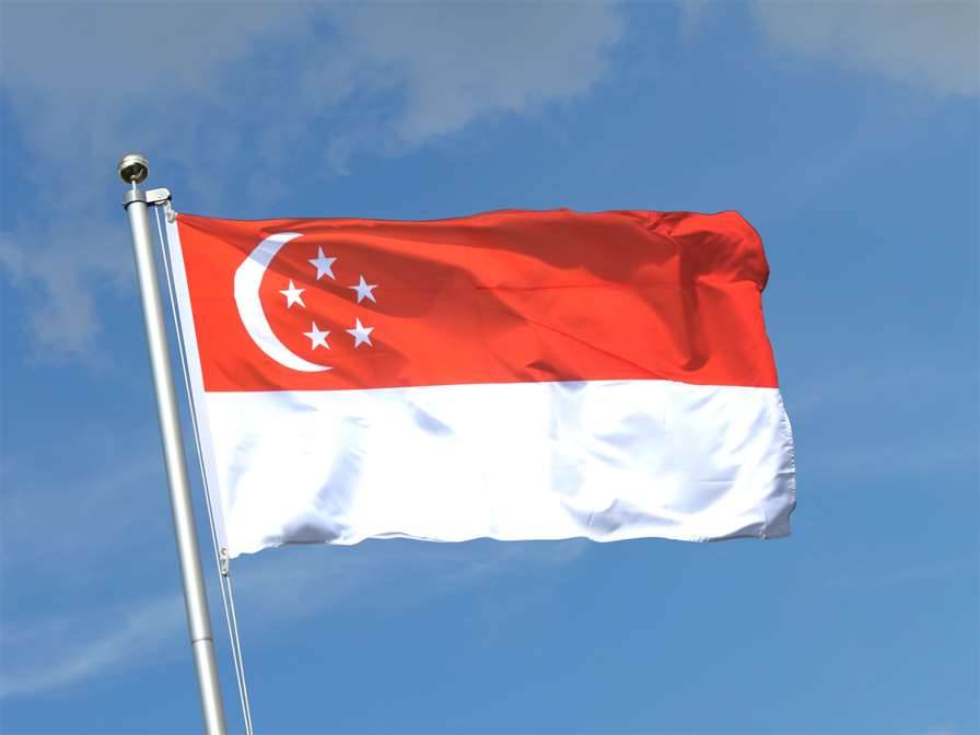 В Сингапуре выбирают президента из трех кандидатов. Действующий лидер не баллотируется