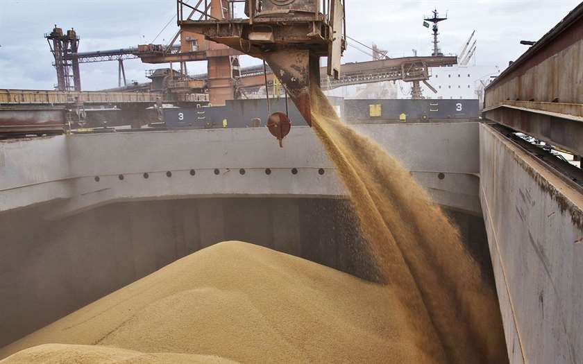 Турция готова отправлять зерно из России голодающим